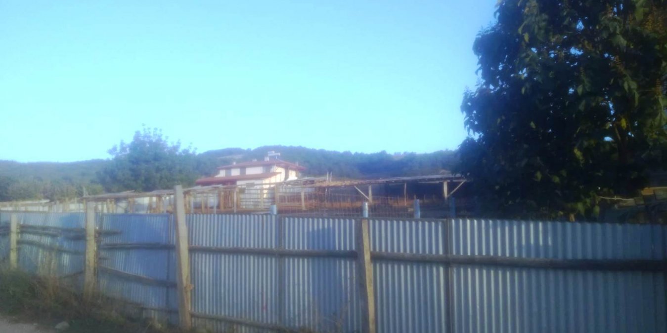 images